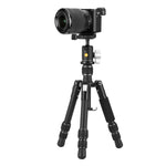 Vesta GO T 203AB Tabletop Tripod w/ Ball Head