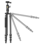 Vesta GO 204CB Carbon Fiber Travel Tripod w/ Ball Head